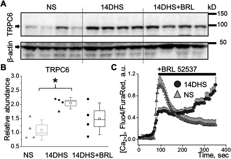 Figure 6.