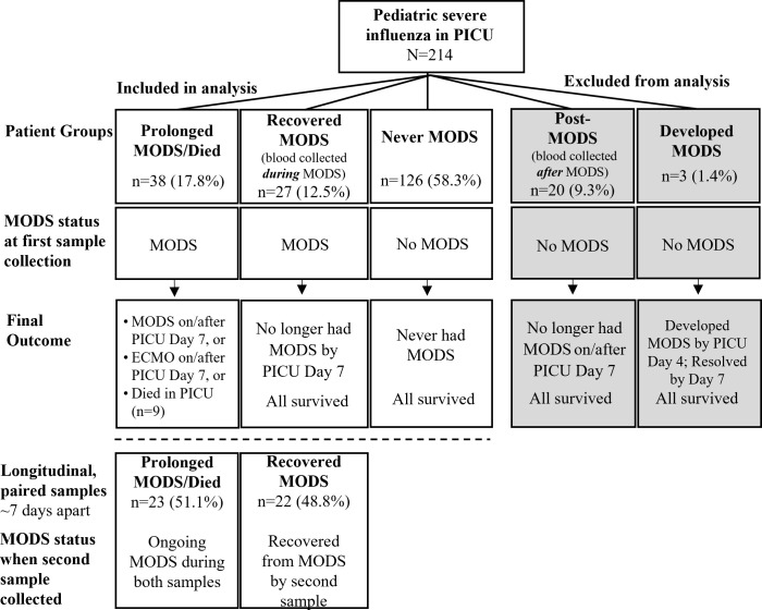 Figure 1