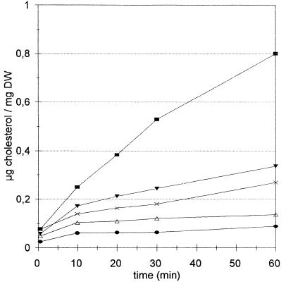 FIG. 1