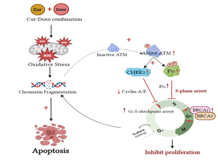 Figure 14