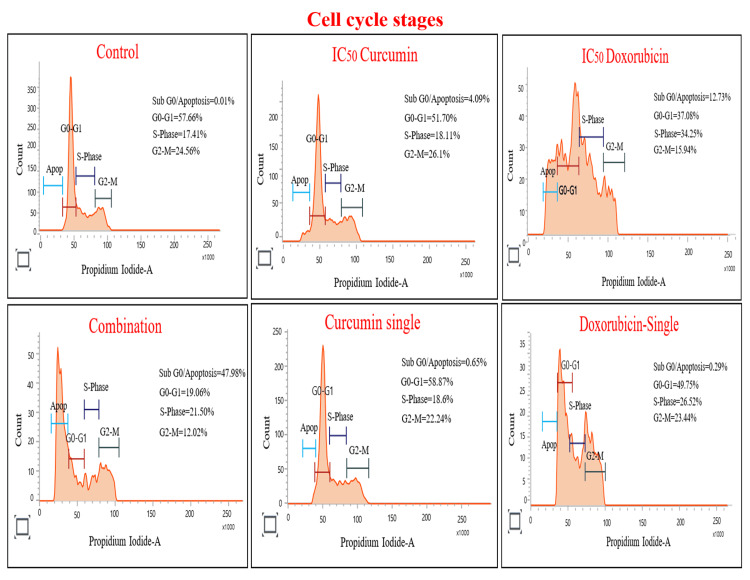 Figure 10