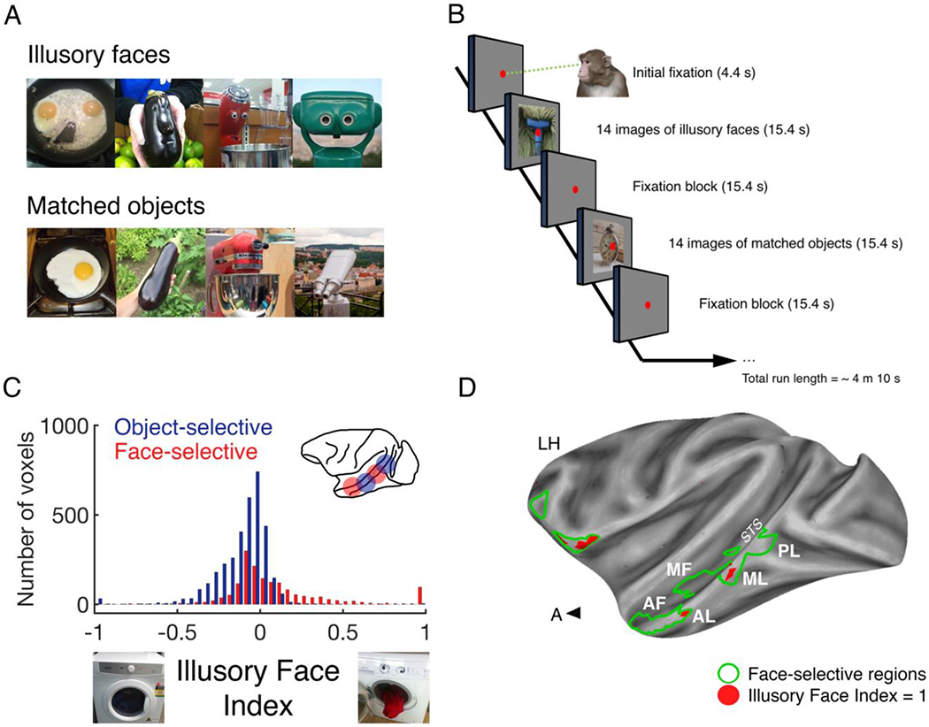 Figure 2: