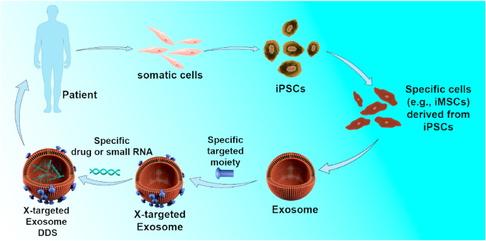 Scheme 2