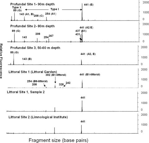 FIG. 2.