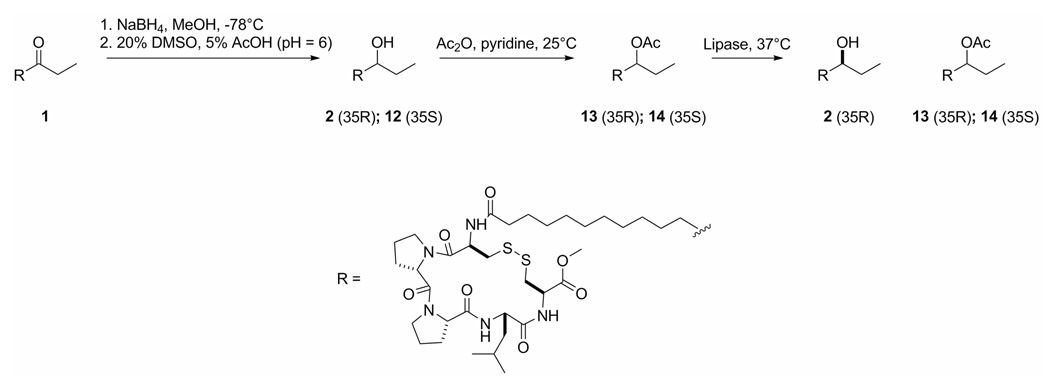 Scheme 3