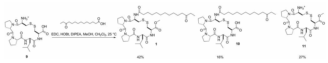 Scheme 2