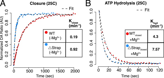 Figure 6—figure supplement 1.