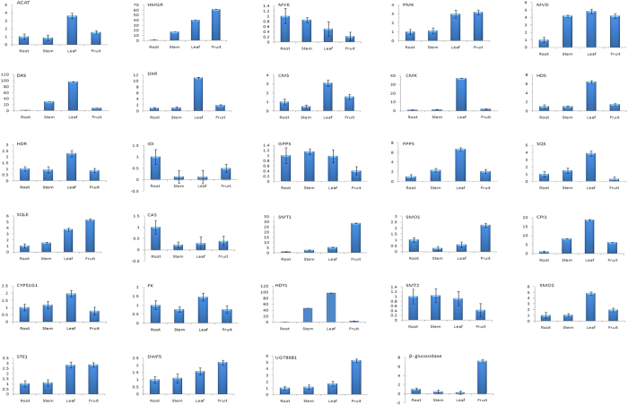 Figure 7