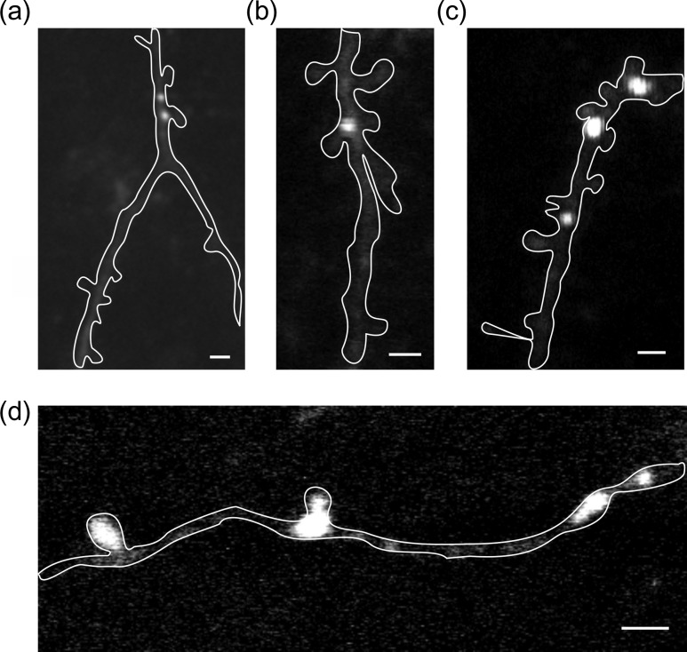 Figure 5.