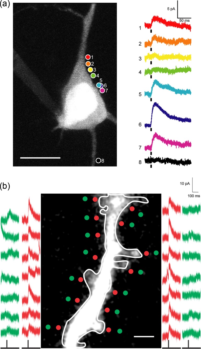 Figure 2.