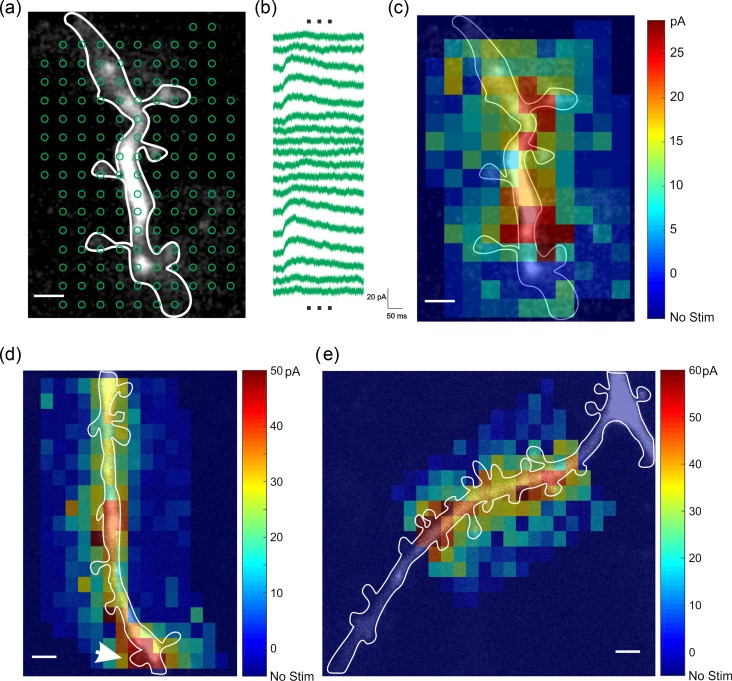 Figure 3.