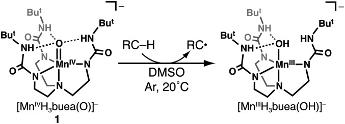 Scheme 1.