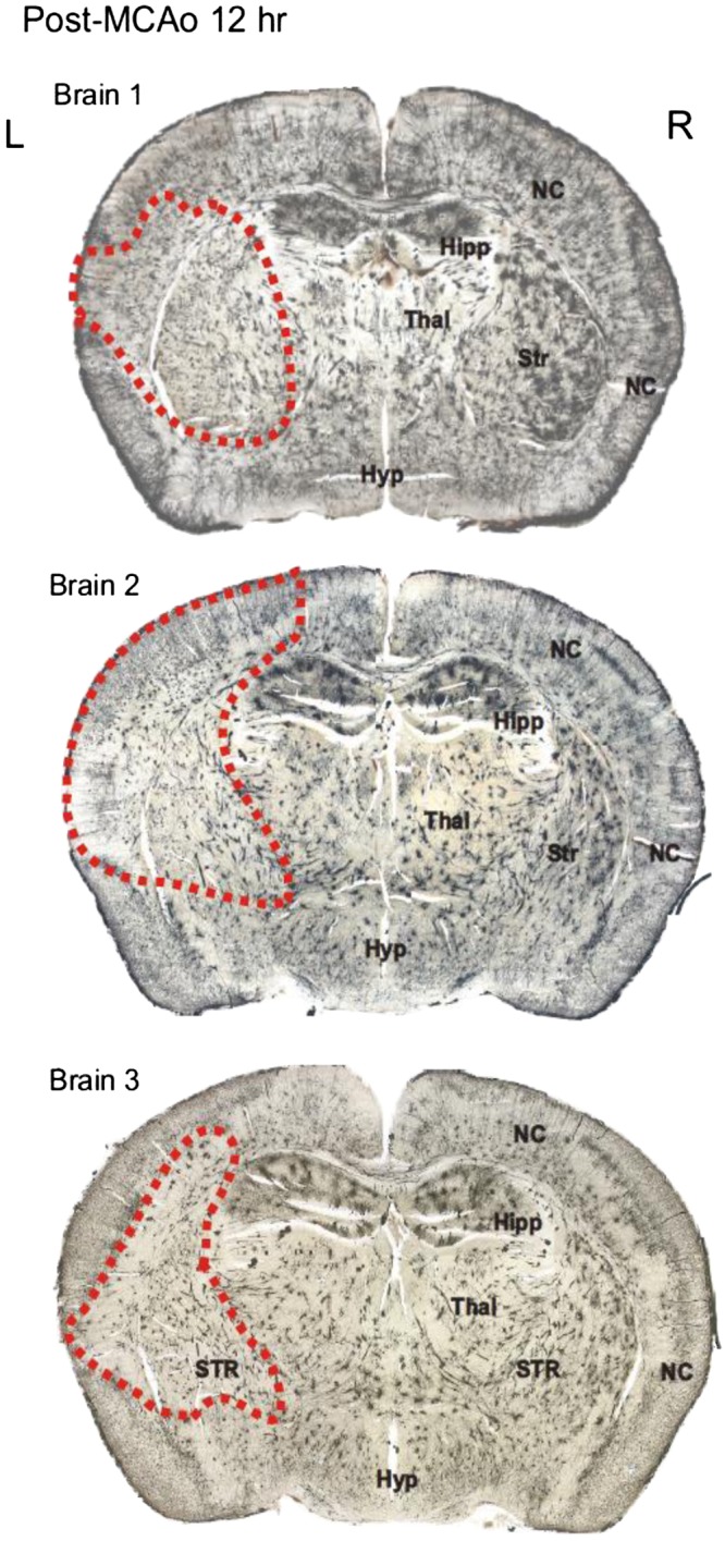 Fig. 10.