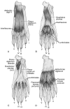 Fig. 10