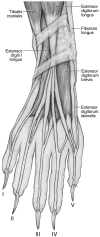 Fig. 11