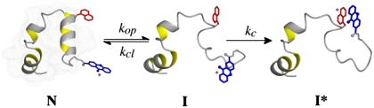 graphic file with name pnas.0910001107figX1.jpg