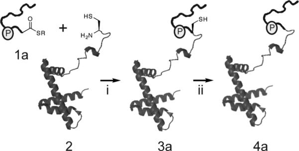 Scheme 1