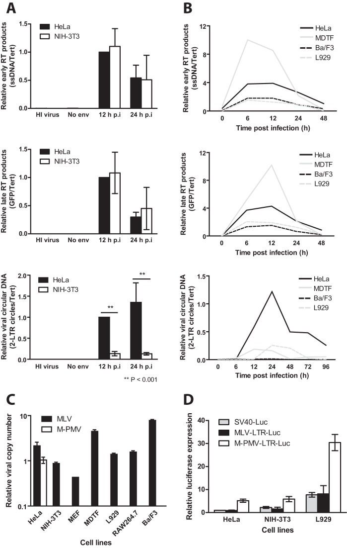 FIG 3