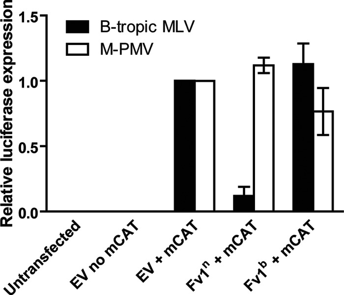 FIG 4