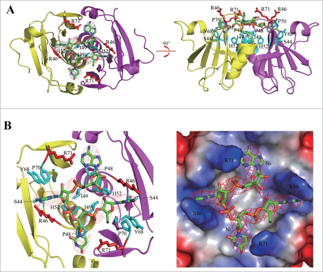 Figure 3.