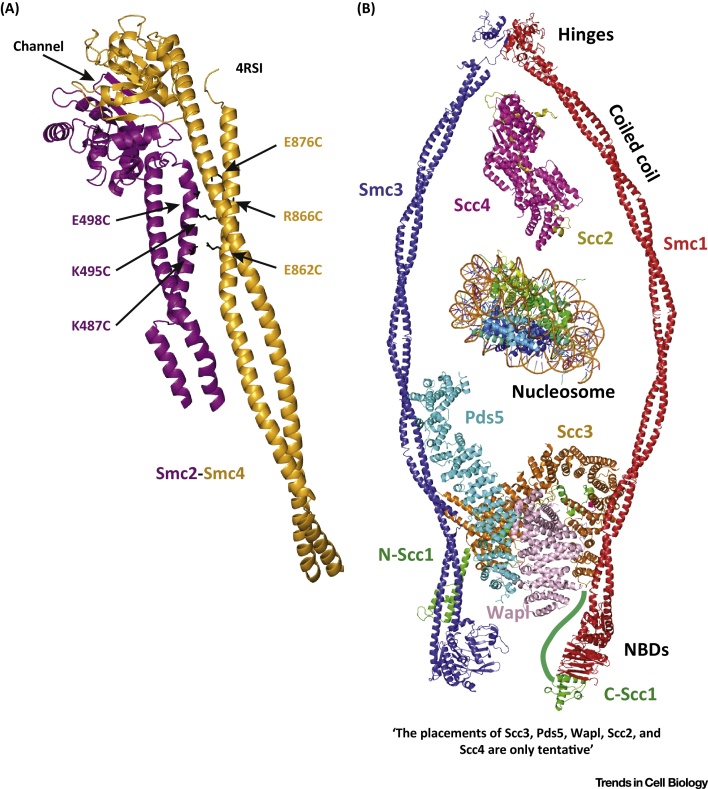 Figure 5