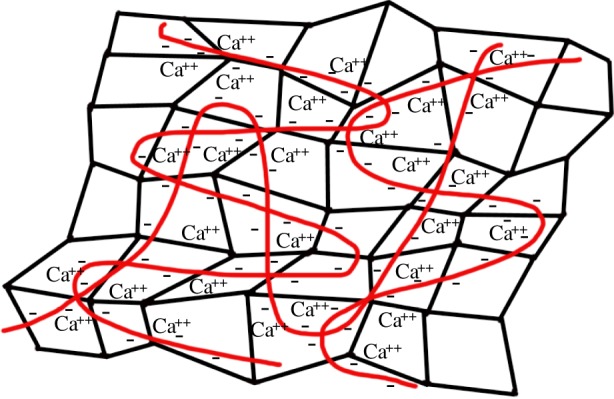 Figure 7.