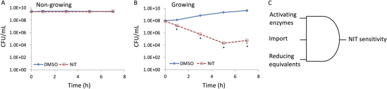 FIG 1