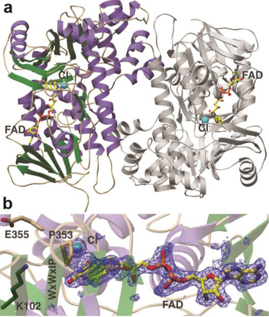 Figure 5