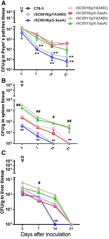 Figure 3