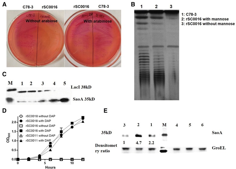 Figure 2