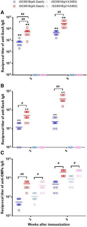 Figure 6