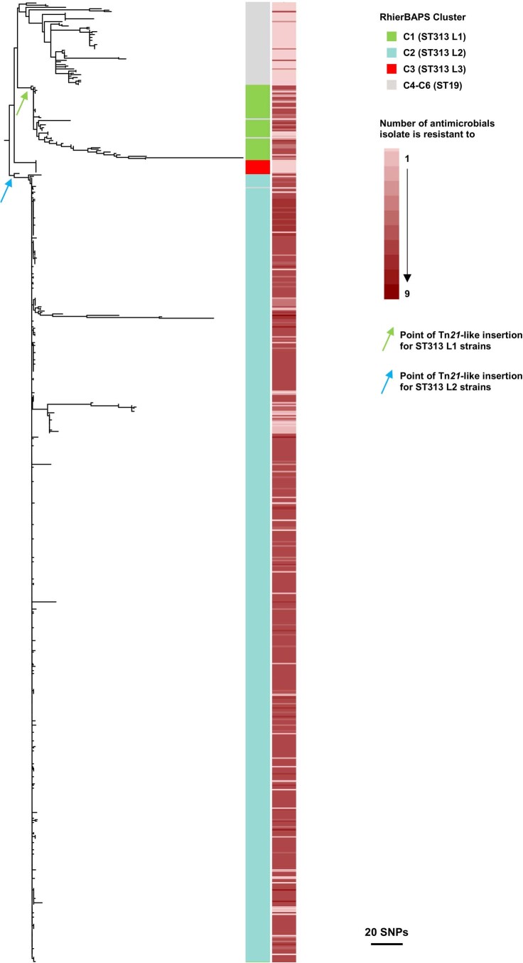 Extended Data Fig. 7