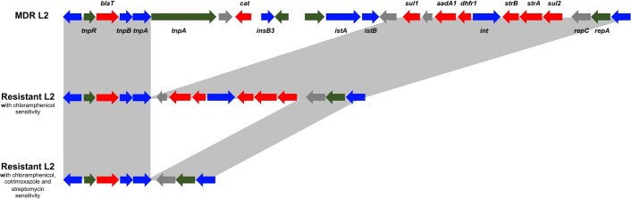 Extended Data Fig. 5