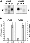 FIG. 4.