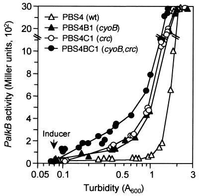 FIG. 5.