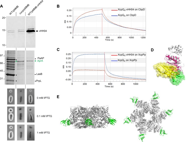 FIG 6 