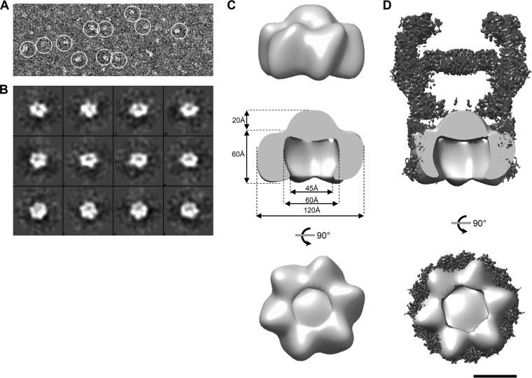 FIG 3 