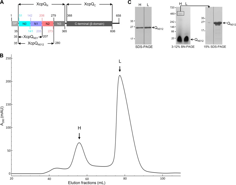 FIG 1 