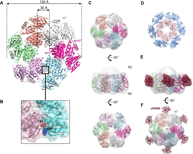 FIG 4 