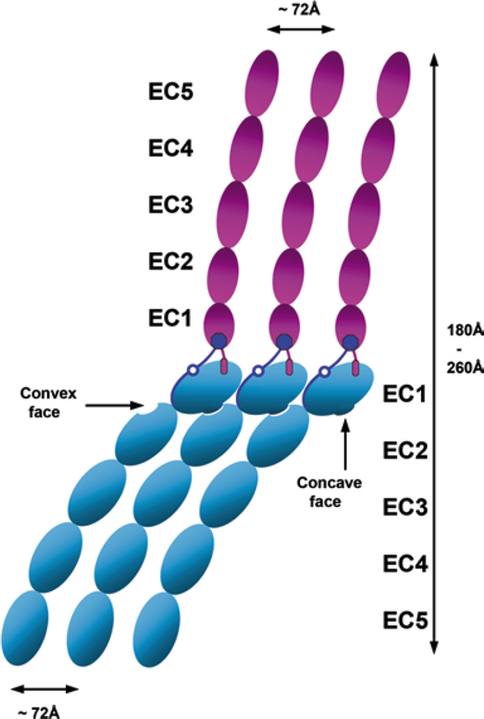 Fig. 5.2