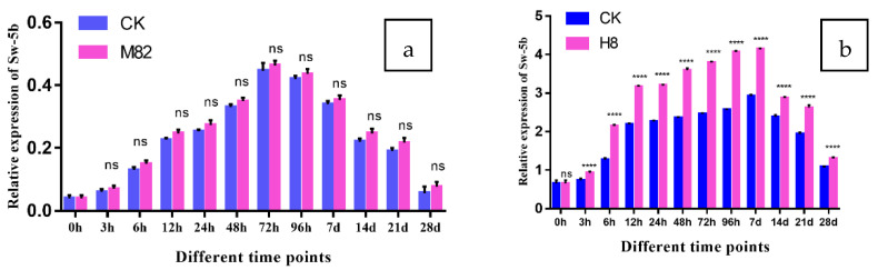 Figure 12