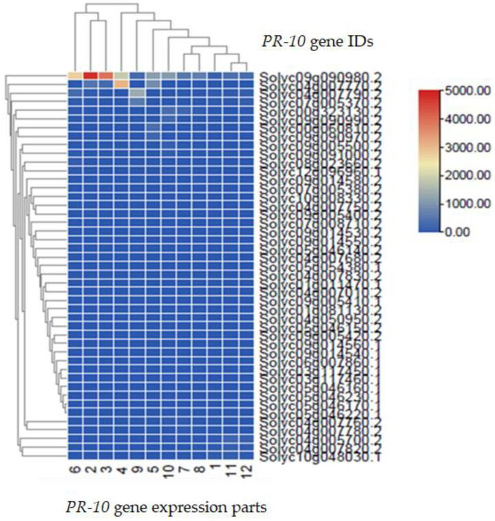 Figure 7