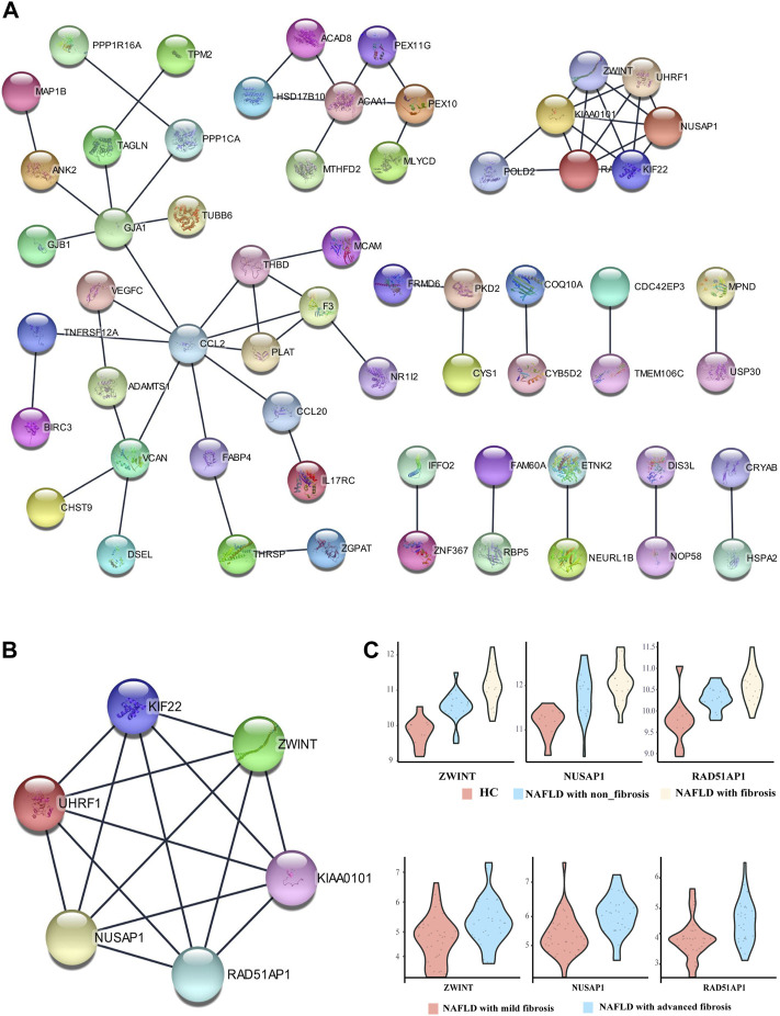 FIGURE 4