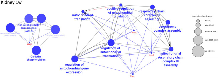 Figure 5