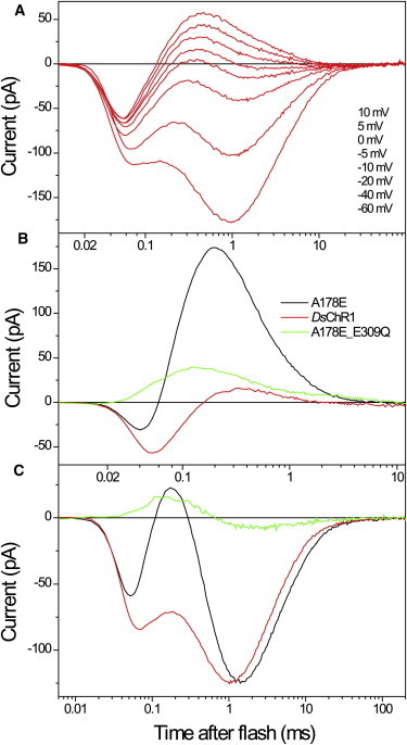 Figure 7