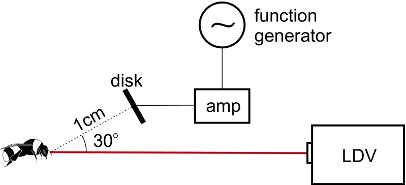 Fig. S1.