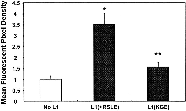 Fig. 10.