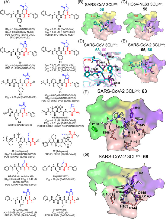 Figure 15