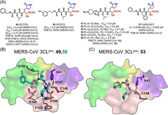 Figure 14