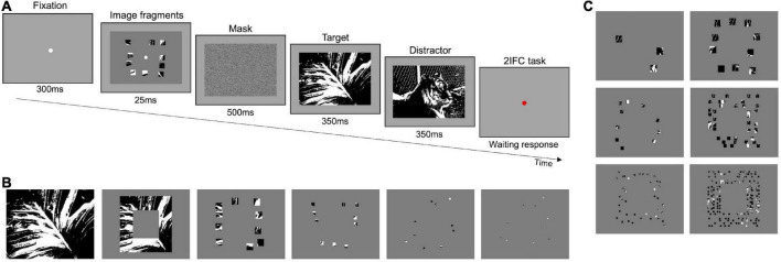 FIGURE 1